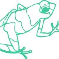 Icone Frog